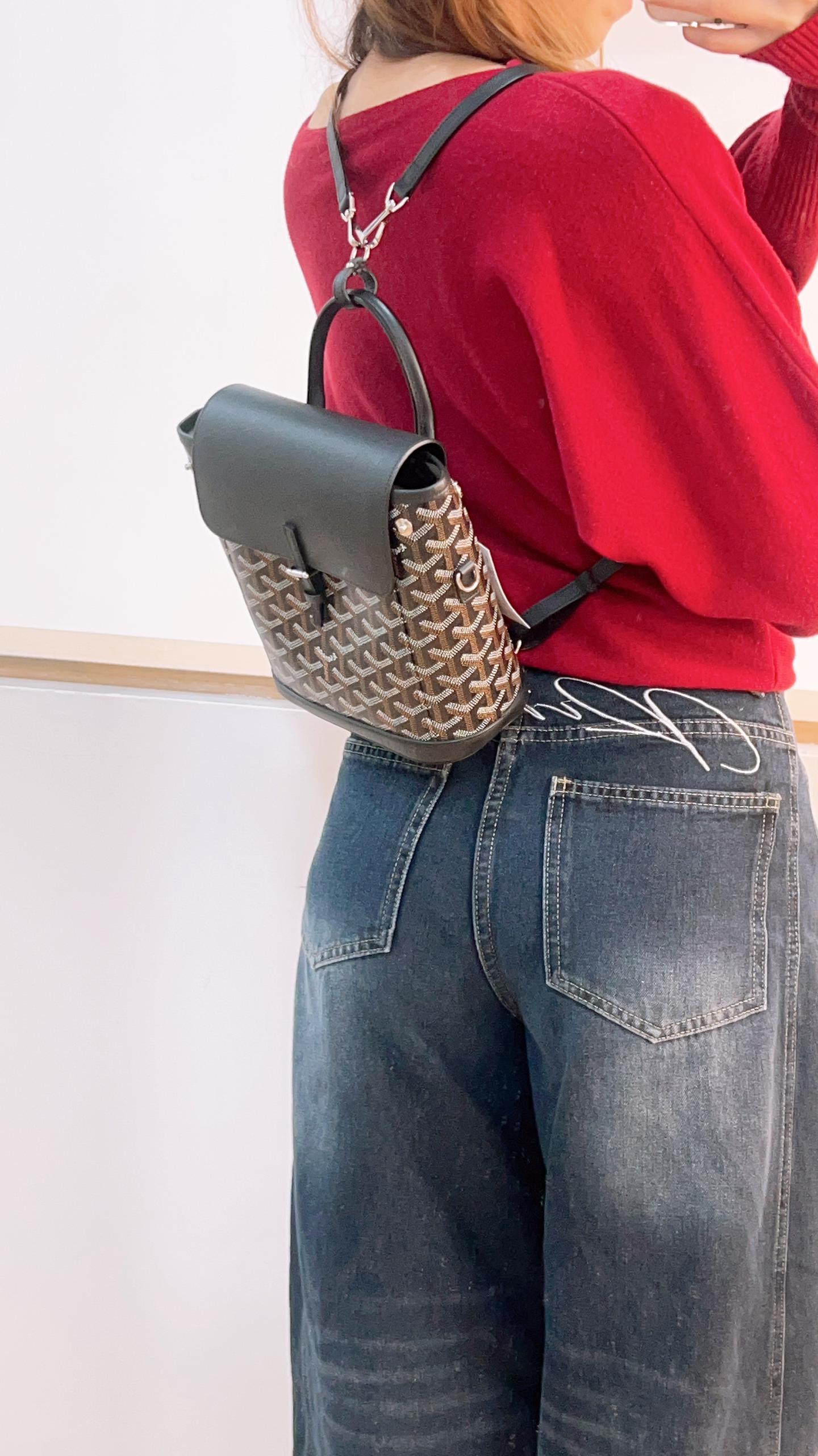 Goyard Black Goyardine Alpin Mini Backpack