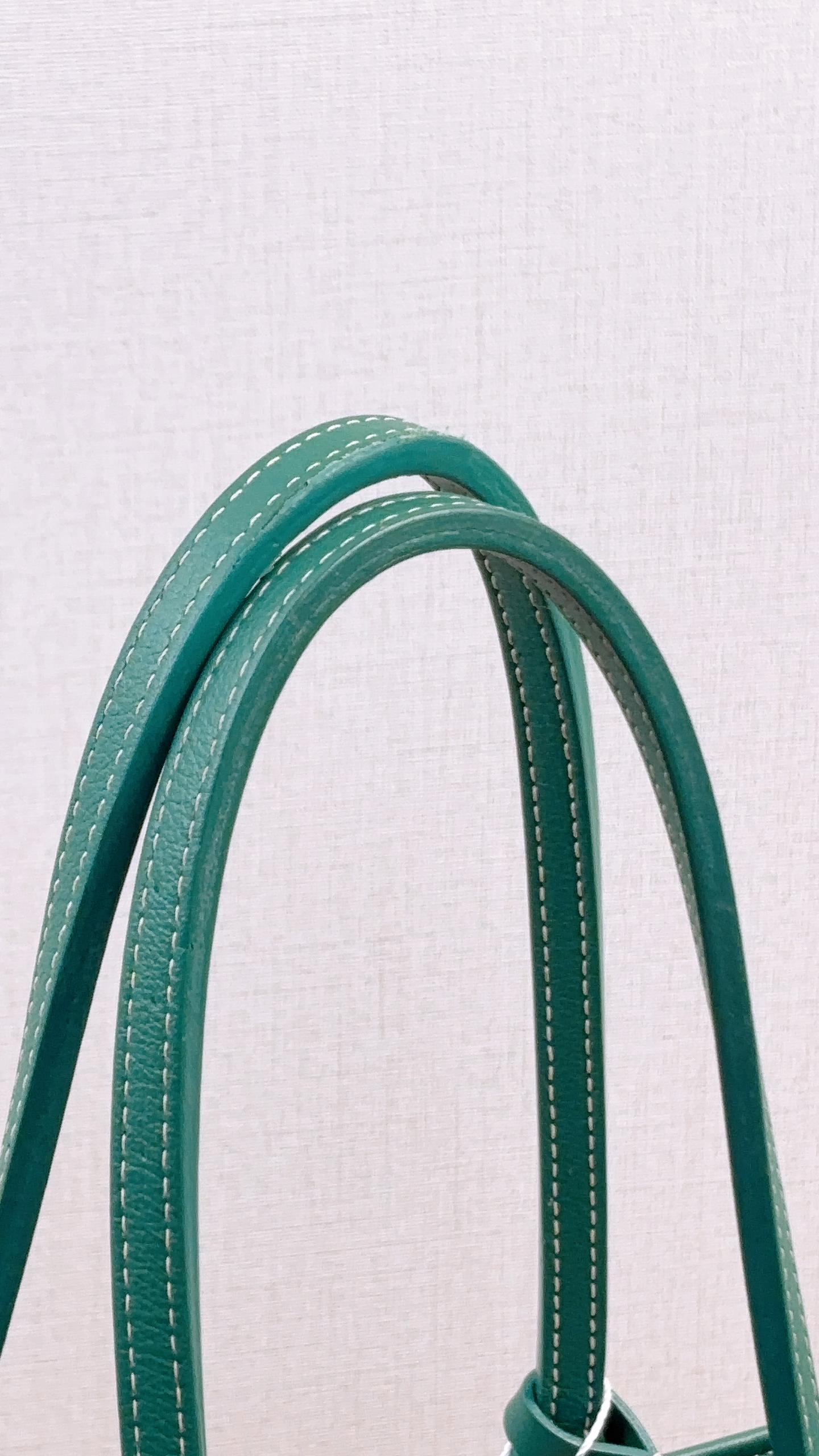 Goyard Green Mini Anjou