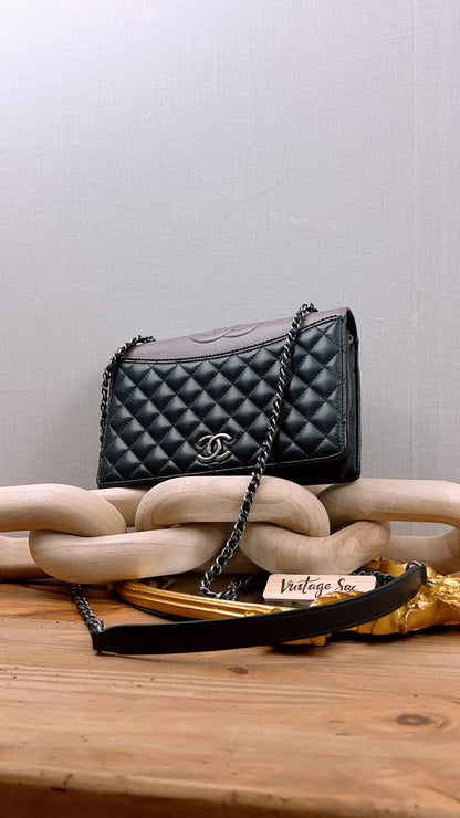 Chanel Black x Brown Calfskin Ballerine Flap (RHW)