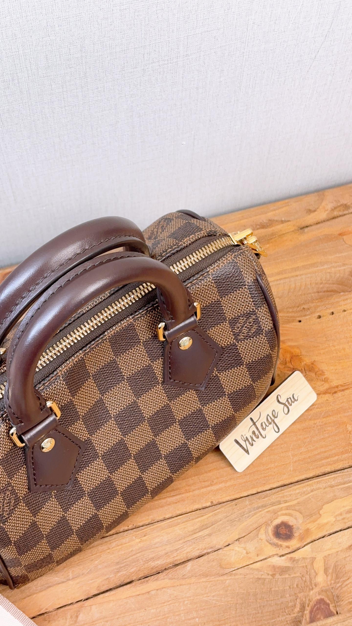 LV Damier Ebene Speedy 20 Bandouliere