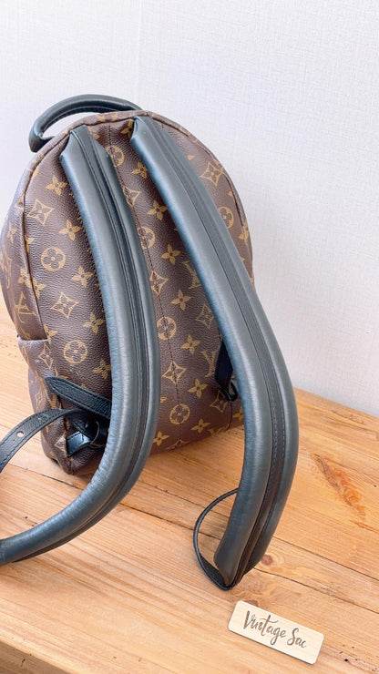 LV Monogram Palm Spring PM Backpack