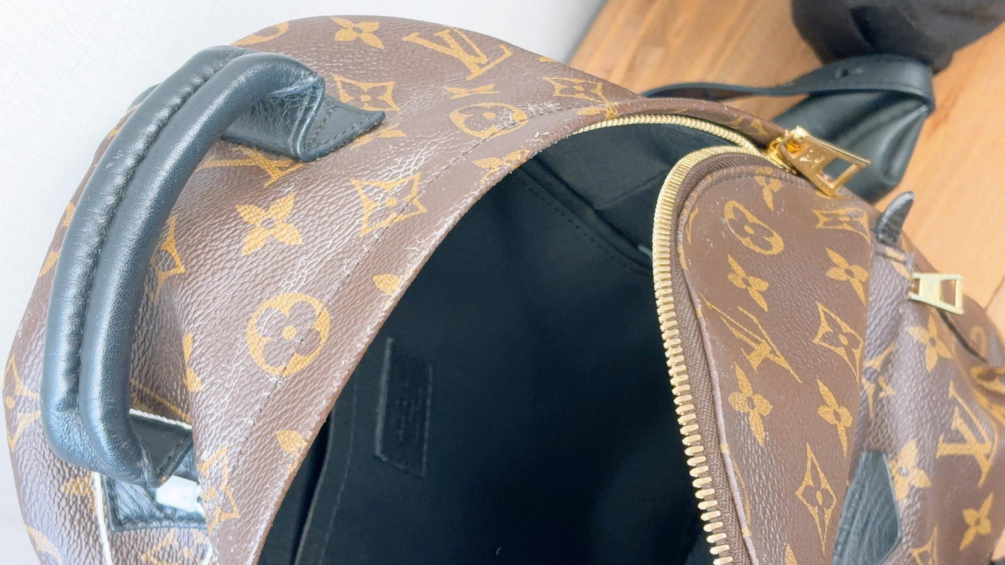 LV Monogram Palm Spring PM Backpack