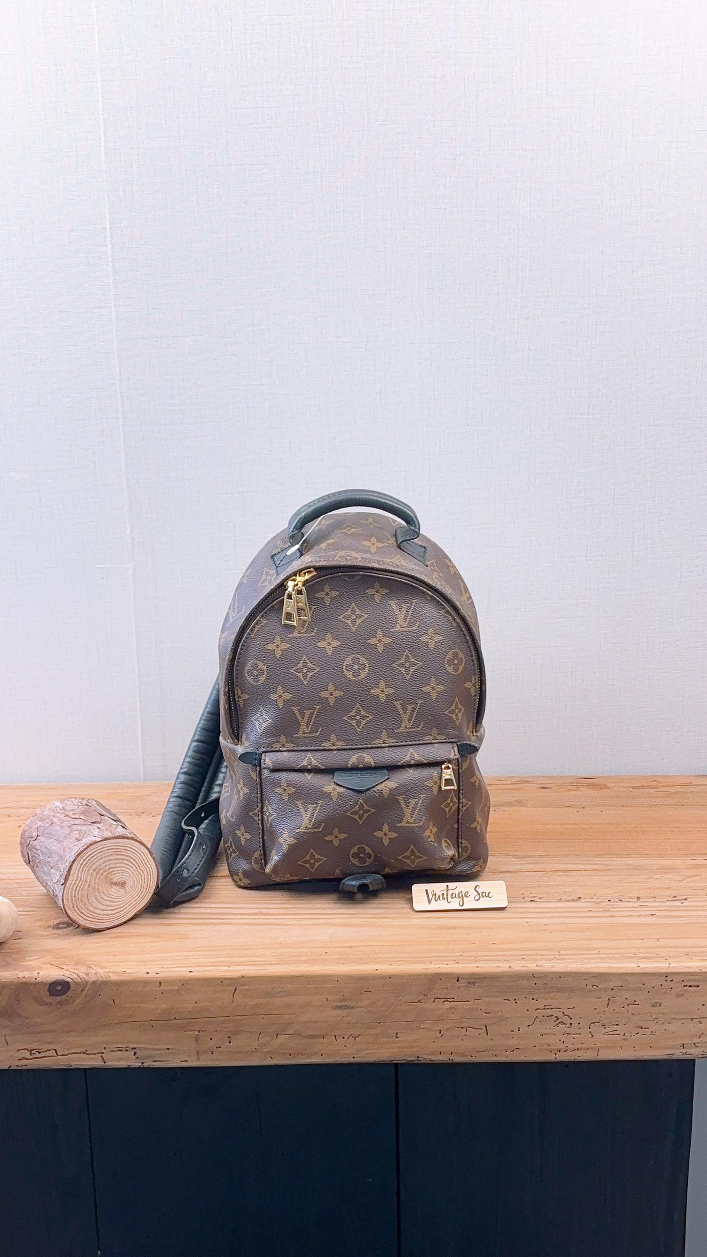 LV Monogram Palm Spring PM Backpack