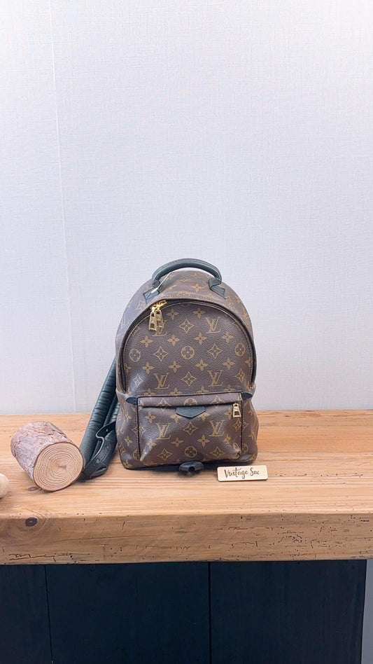 LV Monogram Palm Spring PM Backpack