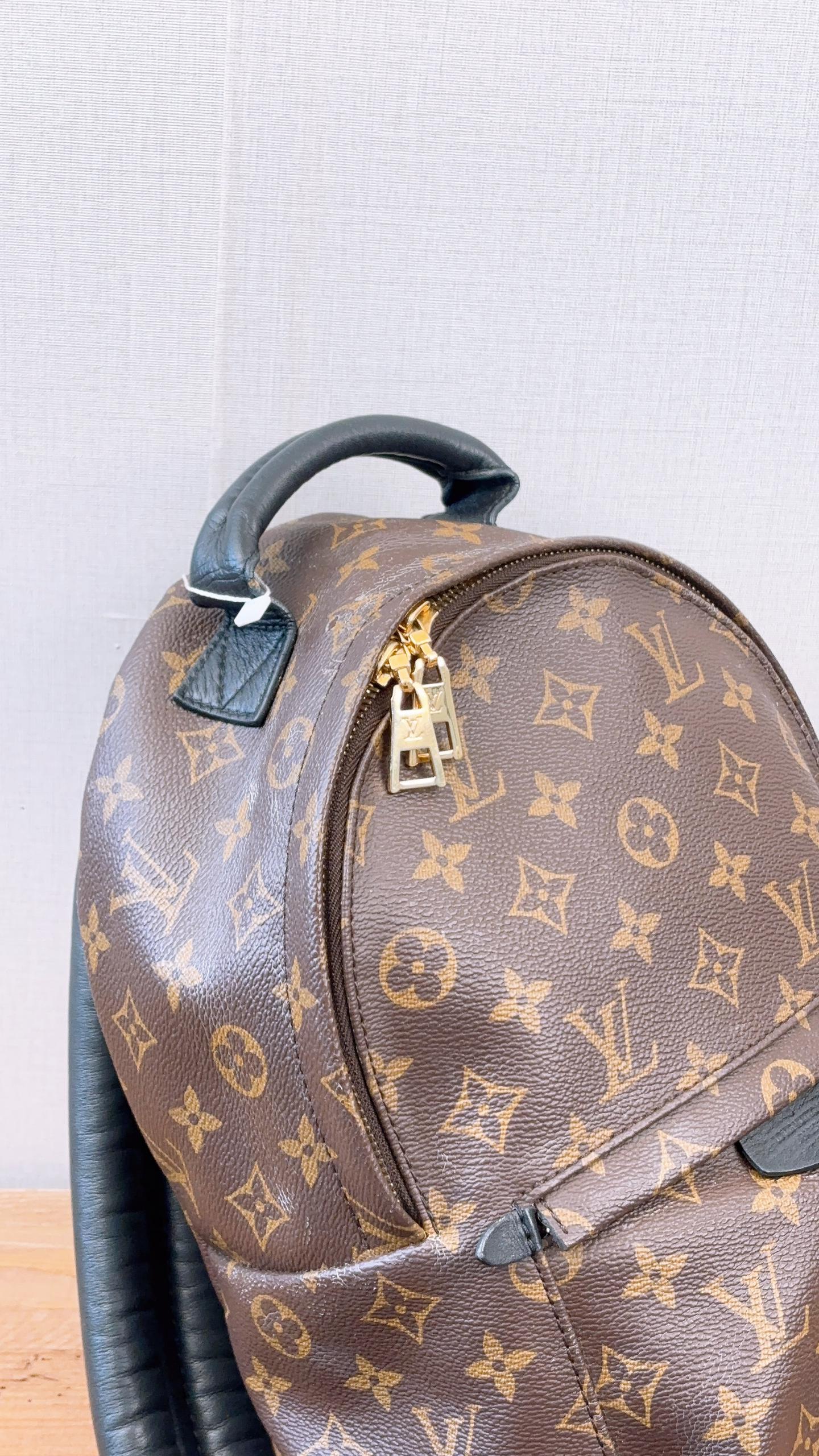LV Monogram Palm Spring PM Backpack