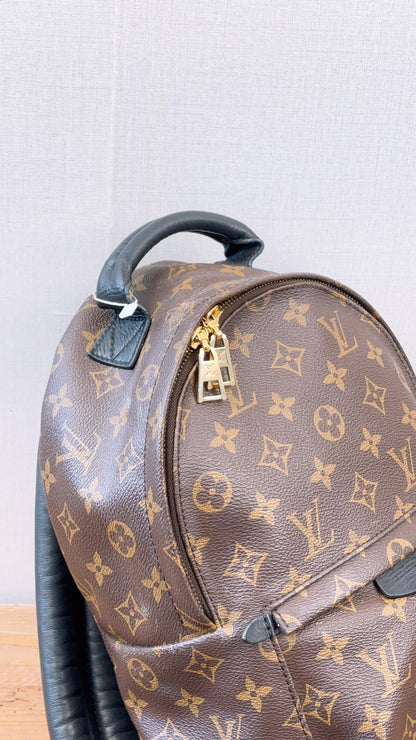 LV Monogram Palm Spring PM Backpack