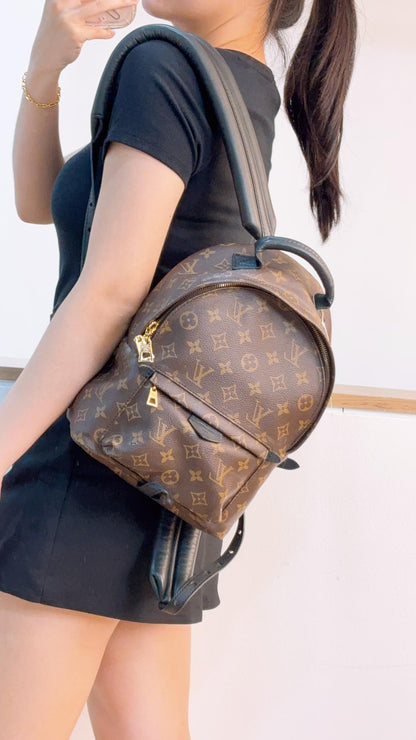 LV Monogram Palm Spring PM Backpack