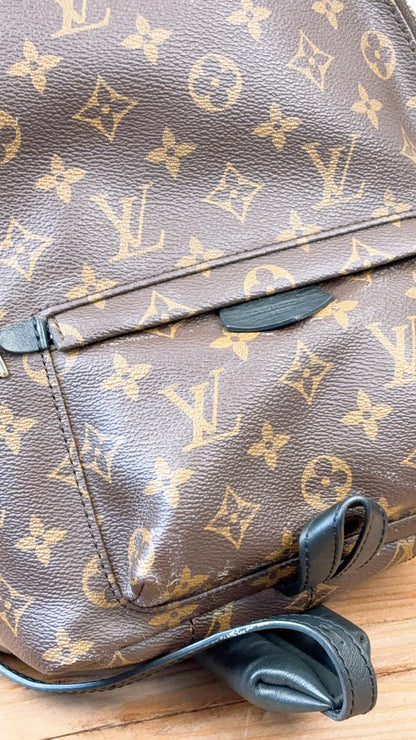 LV Monogram Palm Spring PM Backpack
