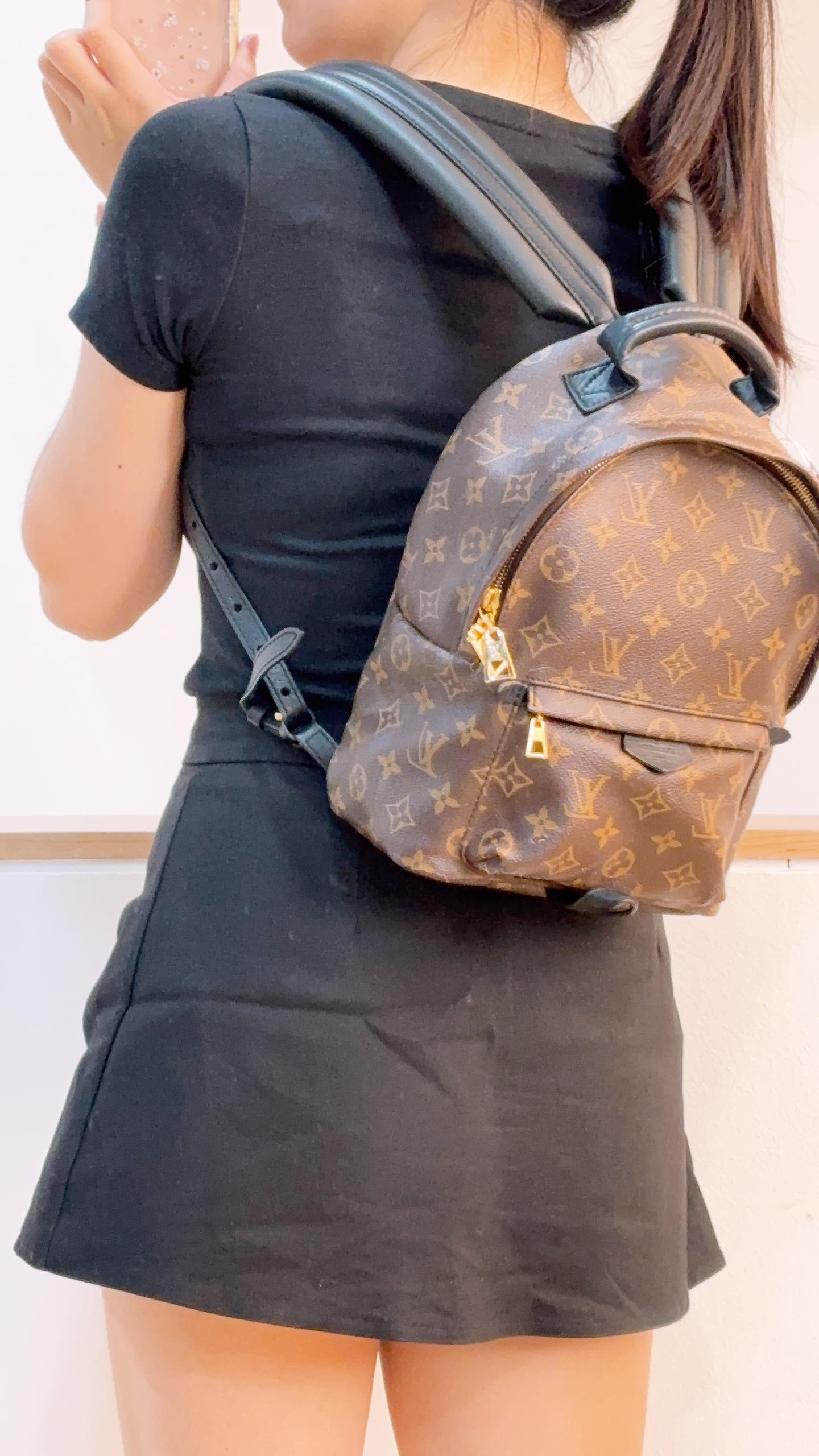 LV Monogram Palm Spring PM Backpack