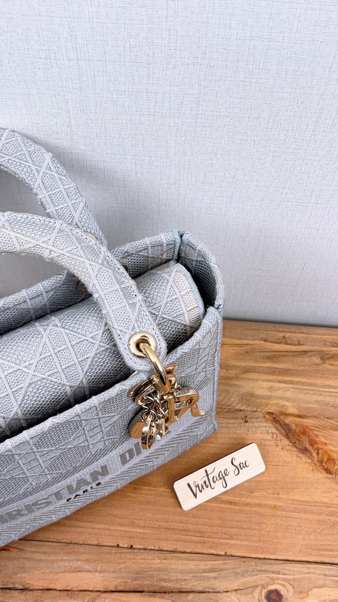 Dior Grey Embroidery Medium Lady D-Lite (GHW)