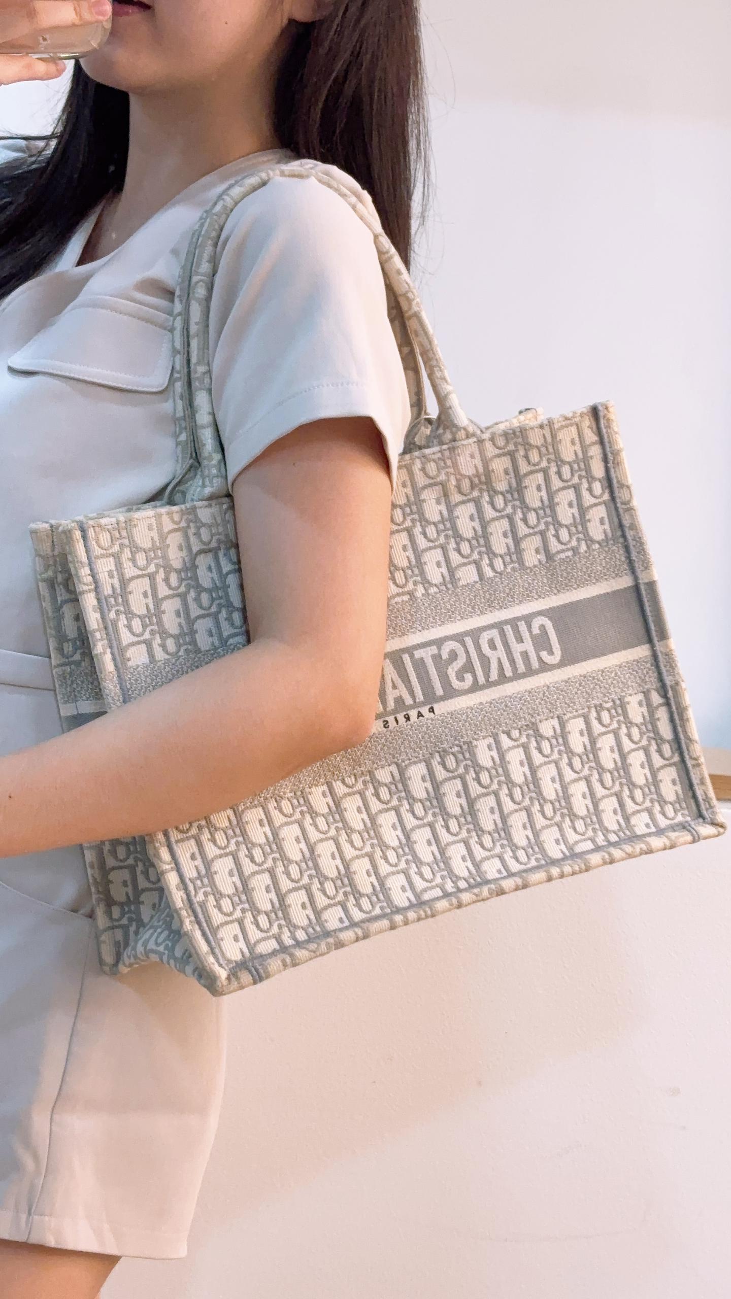 Dior Grey Oblique Medium Book Tote