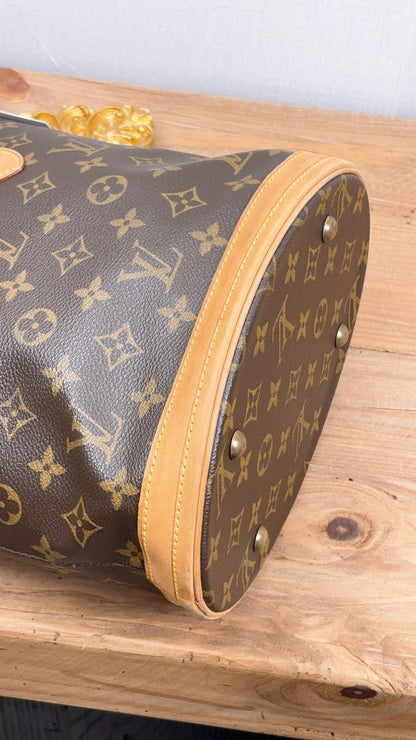 LV Monogram Viva Cite PM