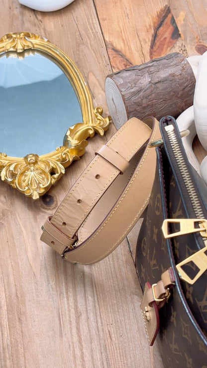 LV Monogram Odeon PM