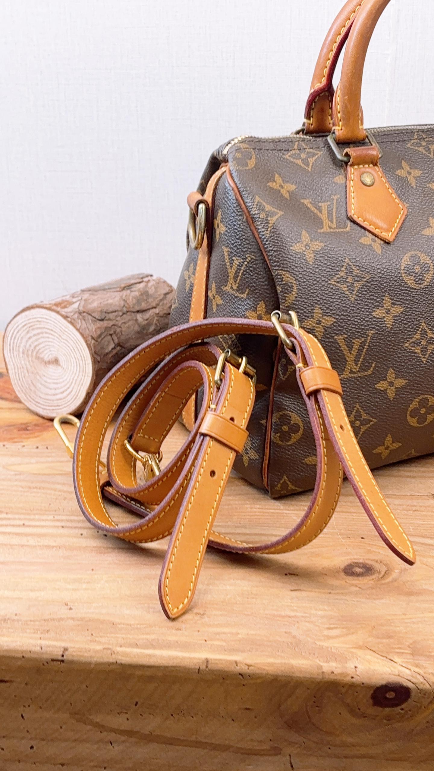 LV Monogram Speedy 25 Bandouliere
