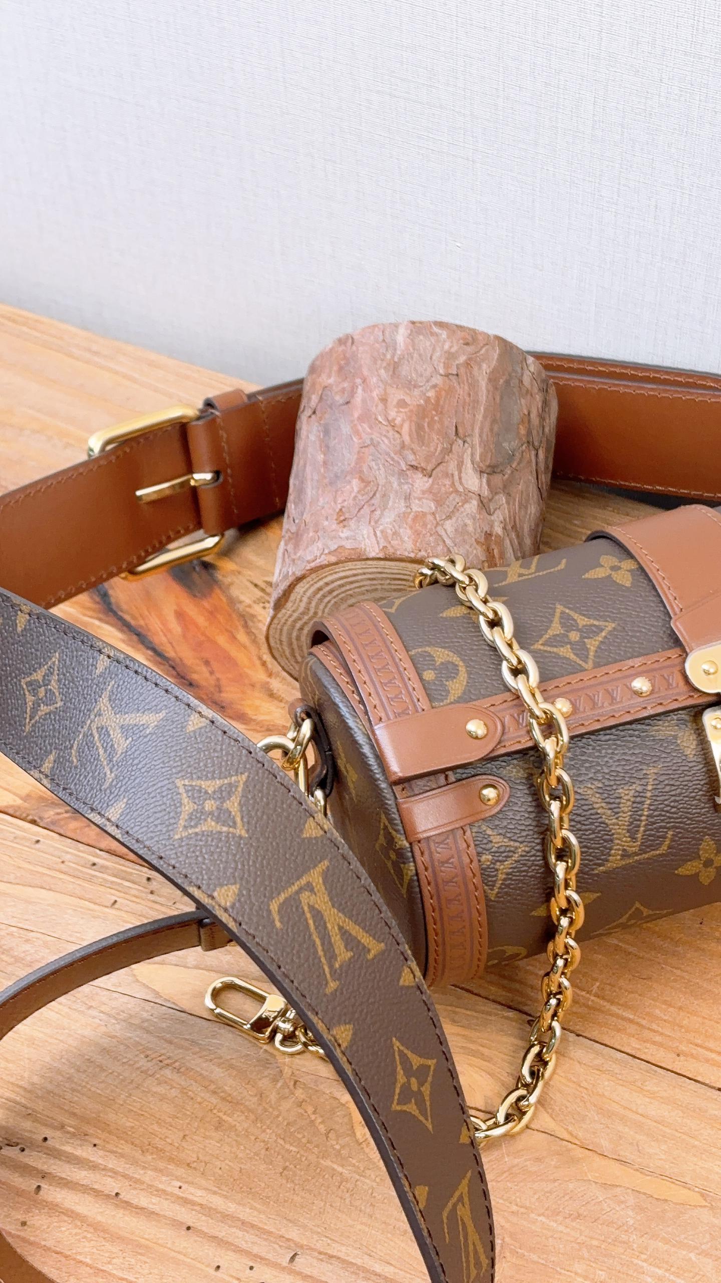 LV Reverse Monogram Papillon Trunk