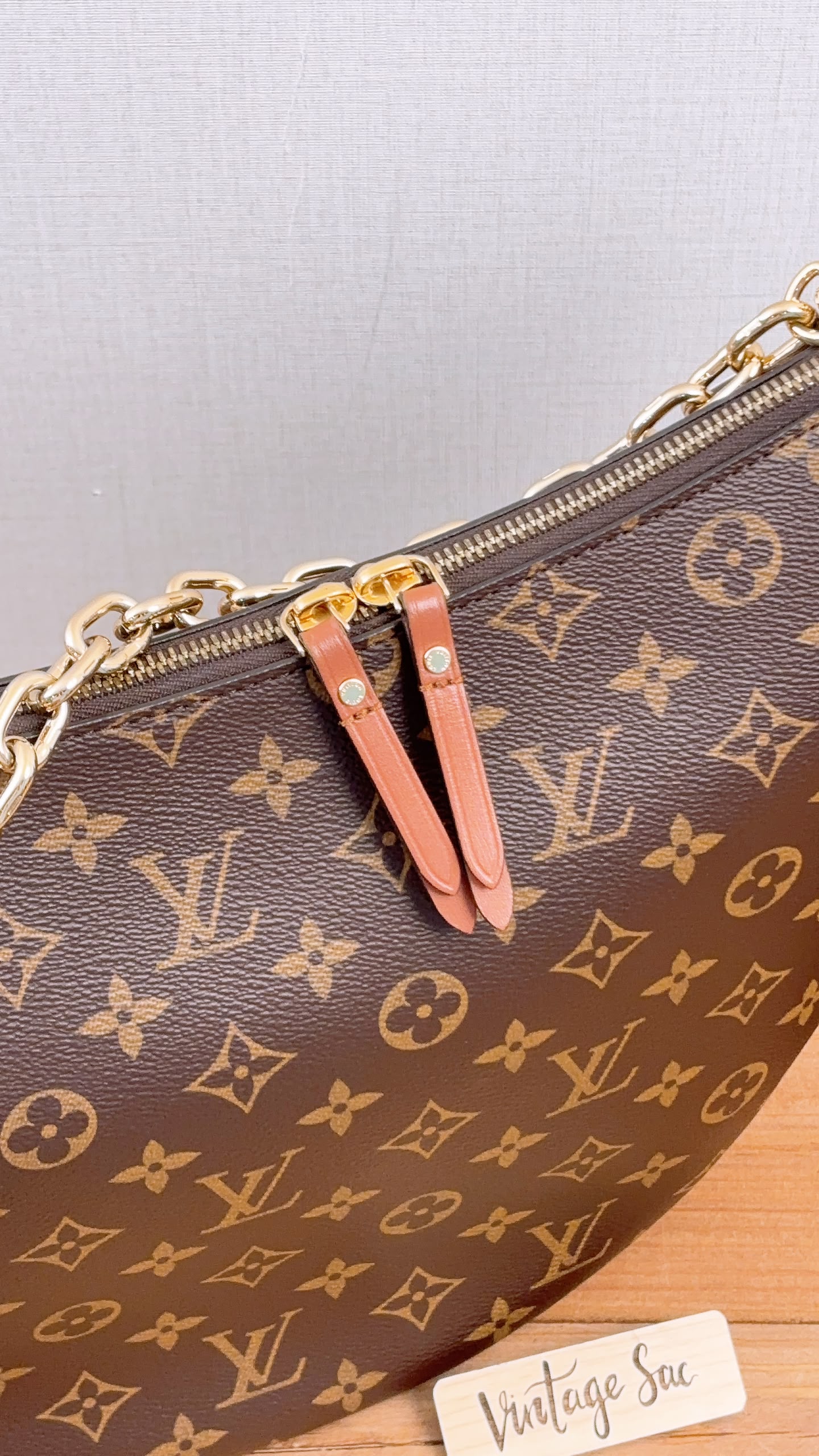 LV Monogram Loop Bag