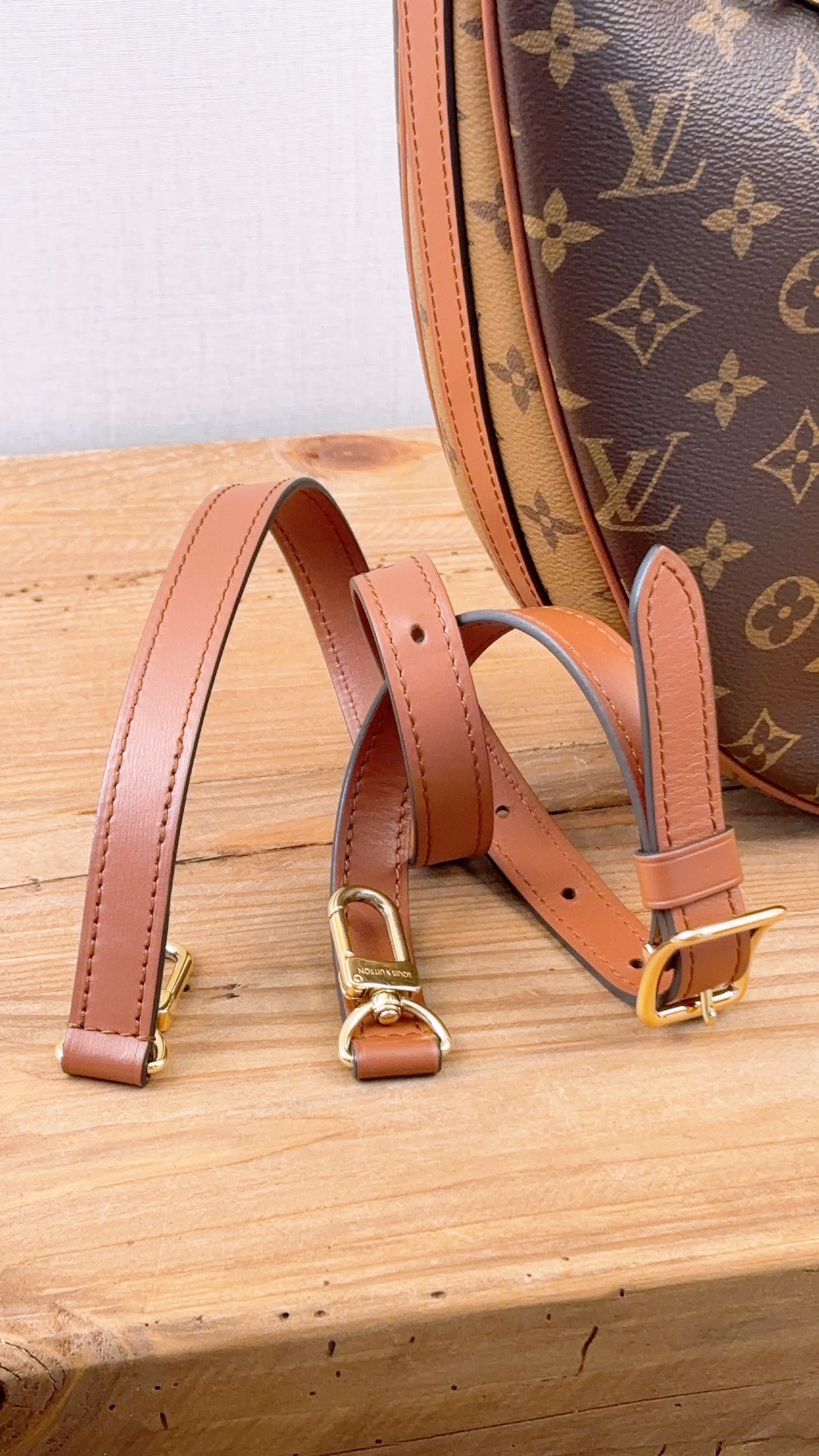 LV Monogram Loop Bag