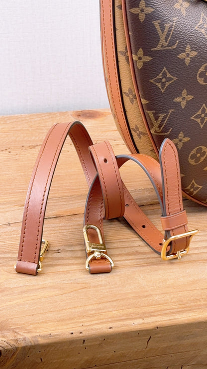LV Monogram Loop Bag