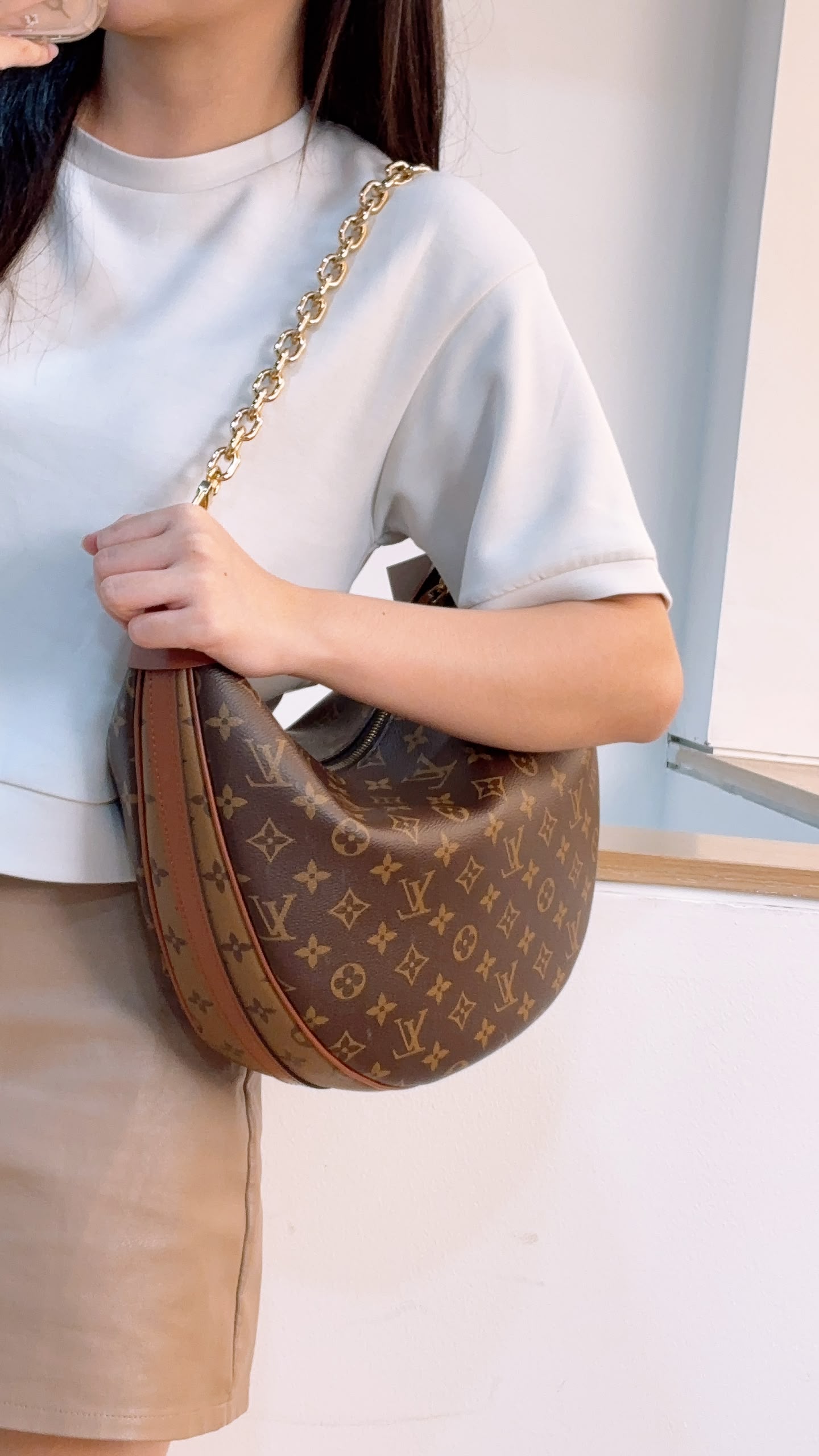 LV Monogram Loop Bag