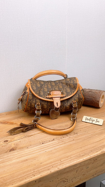 Dior Brown Trotter Vintage Romantigue Bag
