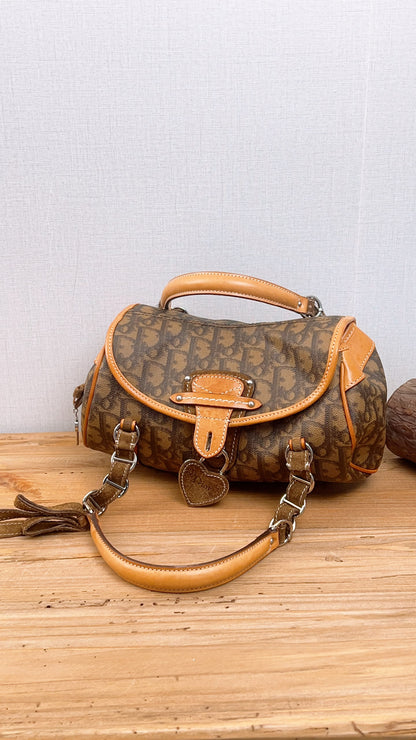 Dior Brown Trotter Vintage Romantigue Bag