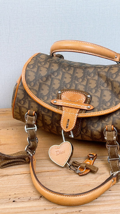 Dior Brown Trotter Vintage Romantigue Bag
