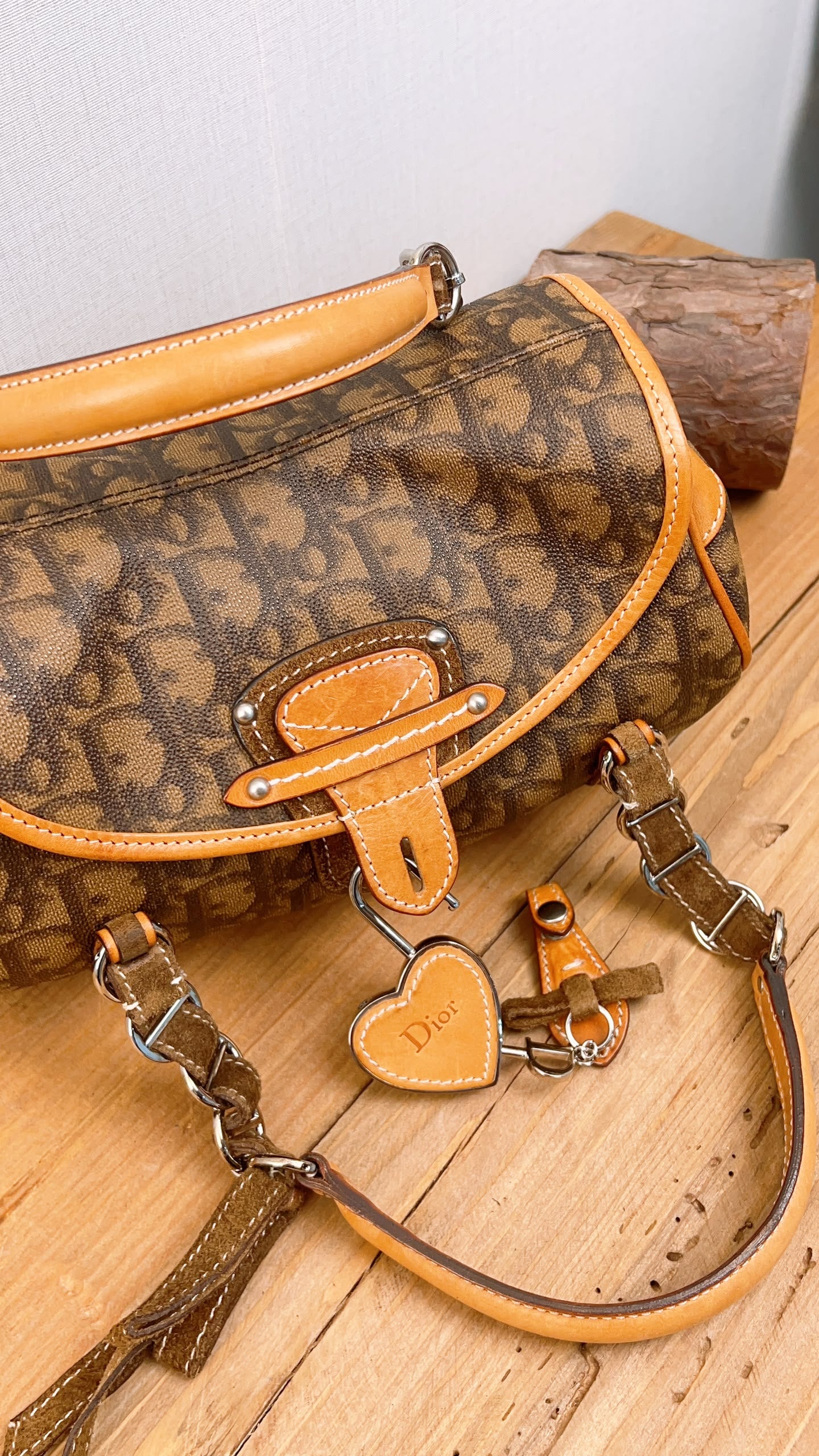Dior Brown Trotter Vintage Romantigue Bag