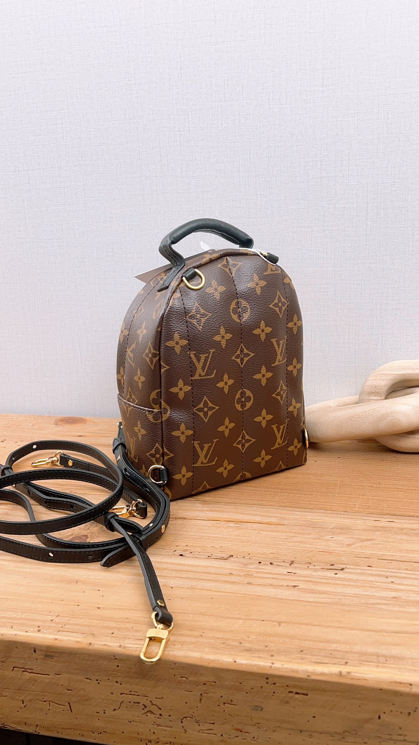 LV Monogram Mini Palm Springs