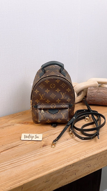 LV Monogram Mini Palm Springs