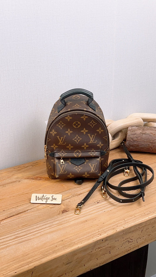 LV Monogram Mini Palm Springs