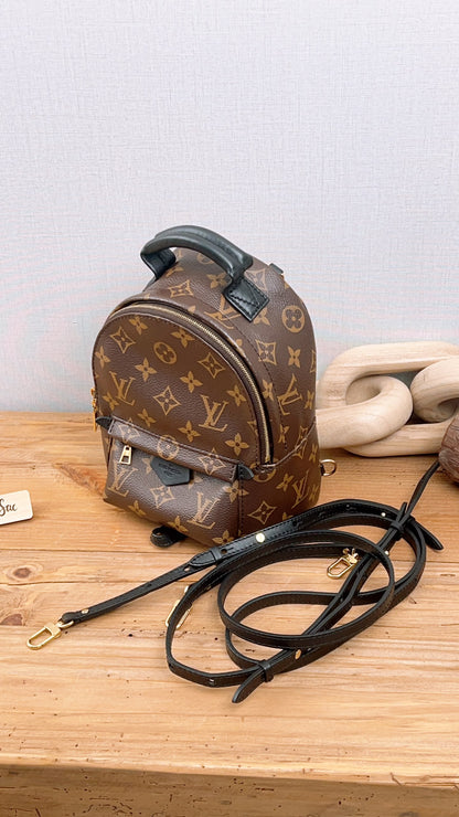 LV Monogram Mini Palm Springs