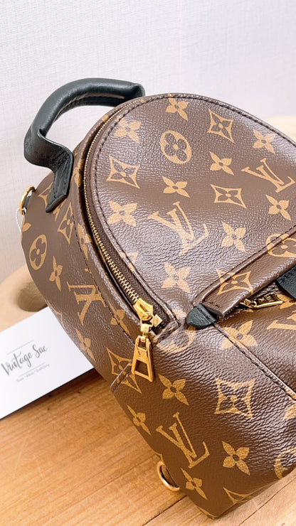 LV Monogram Mini Palm Springs