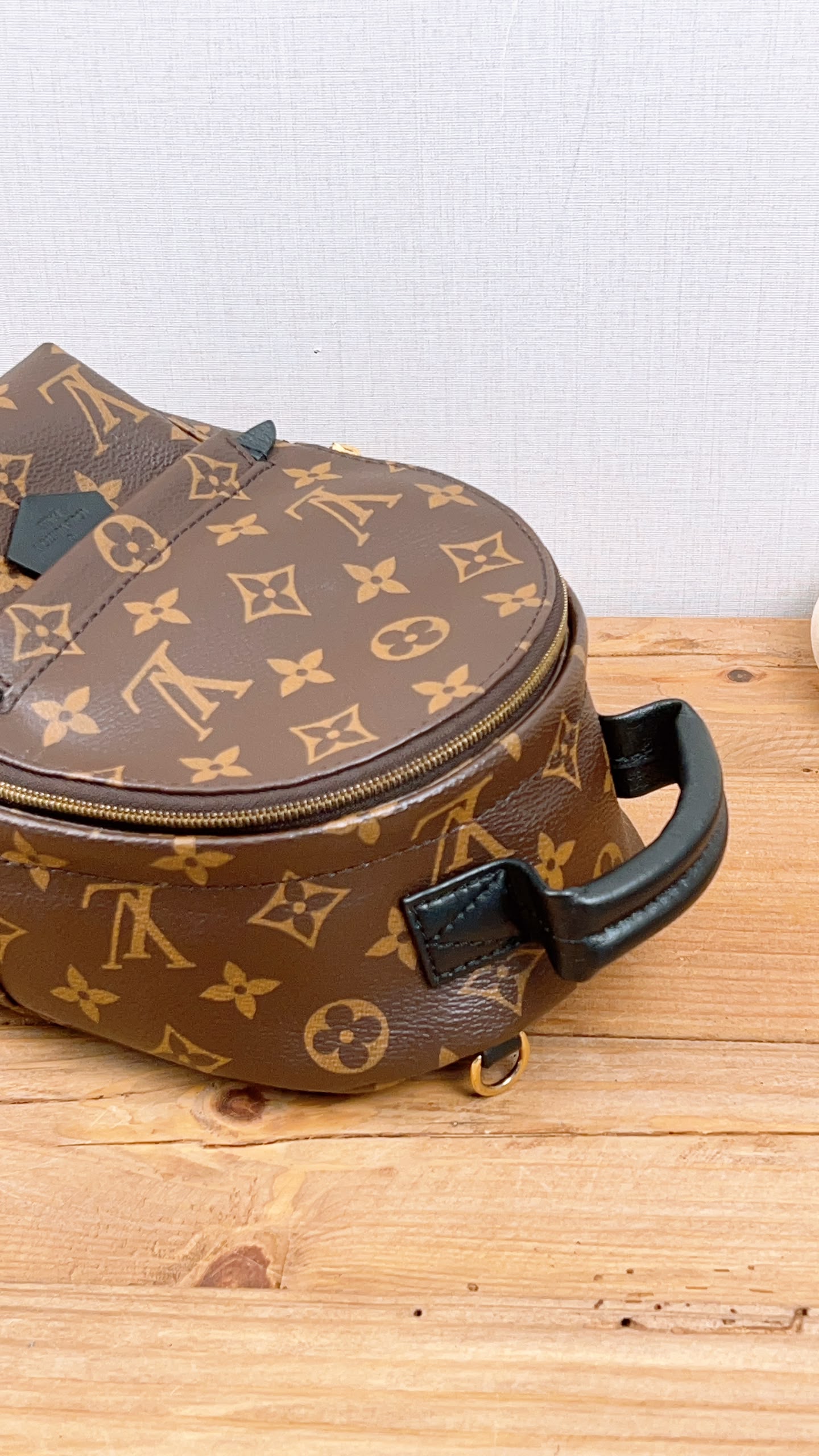 LV Monogram Mini Palm Springs