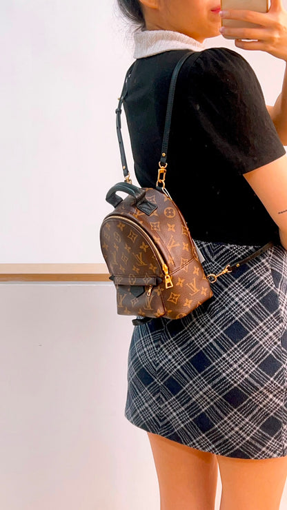 LV Monogram Mini Palm Springs