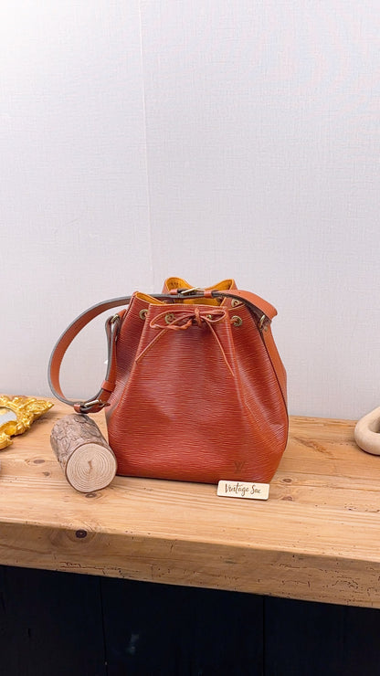 LV Brown Kenyan Fawn Epi Petit Noe