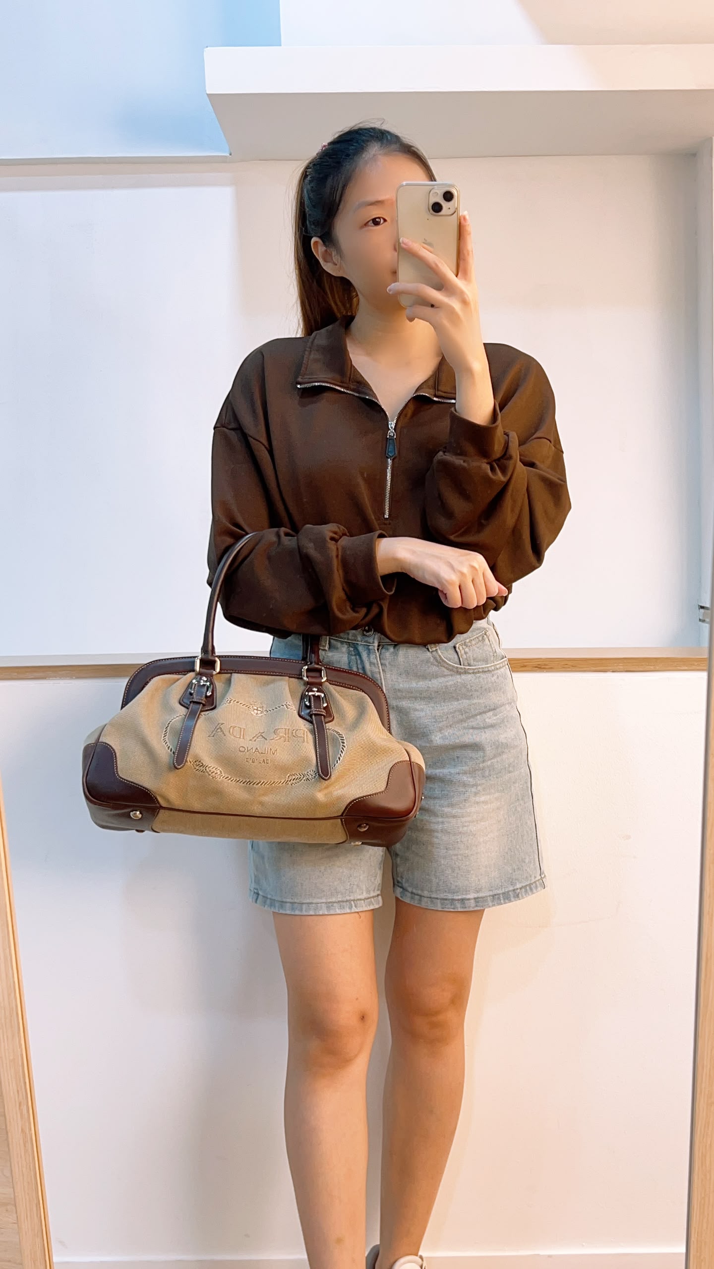 Prada Brown Logo Frame Handbag