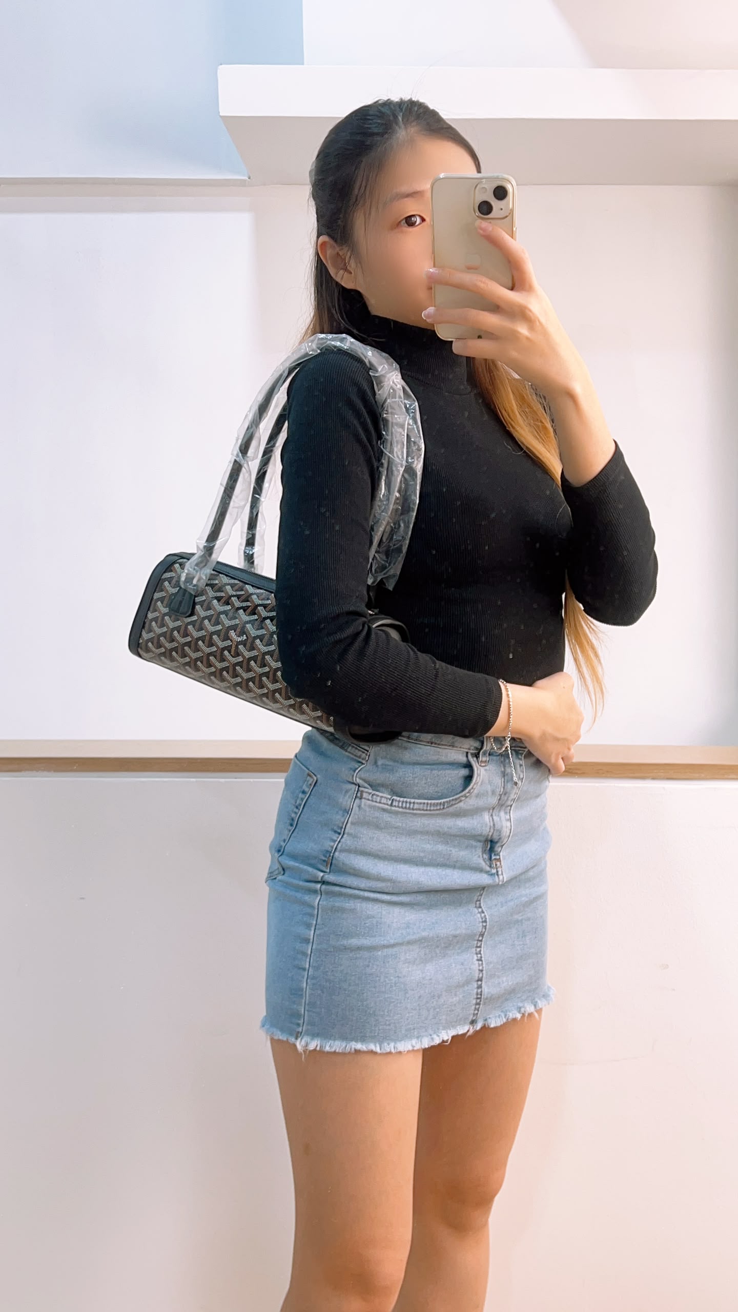 Goyard Black Bambnniere Bag