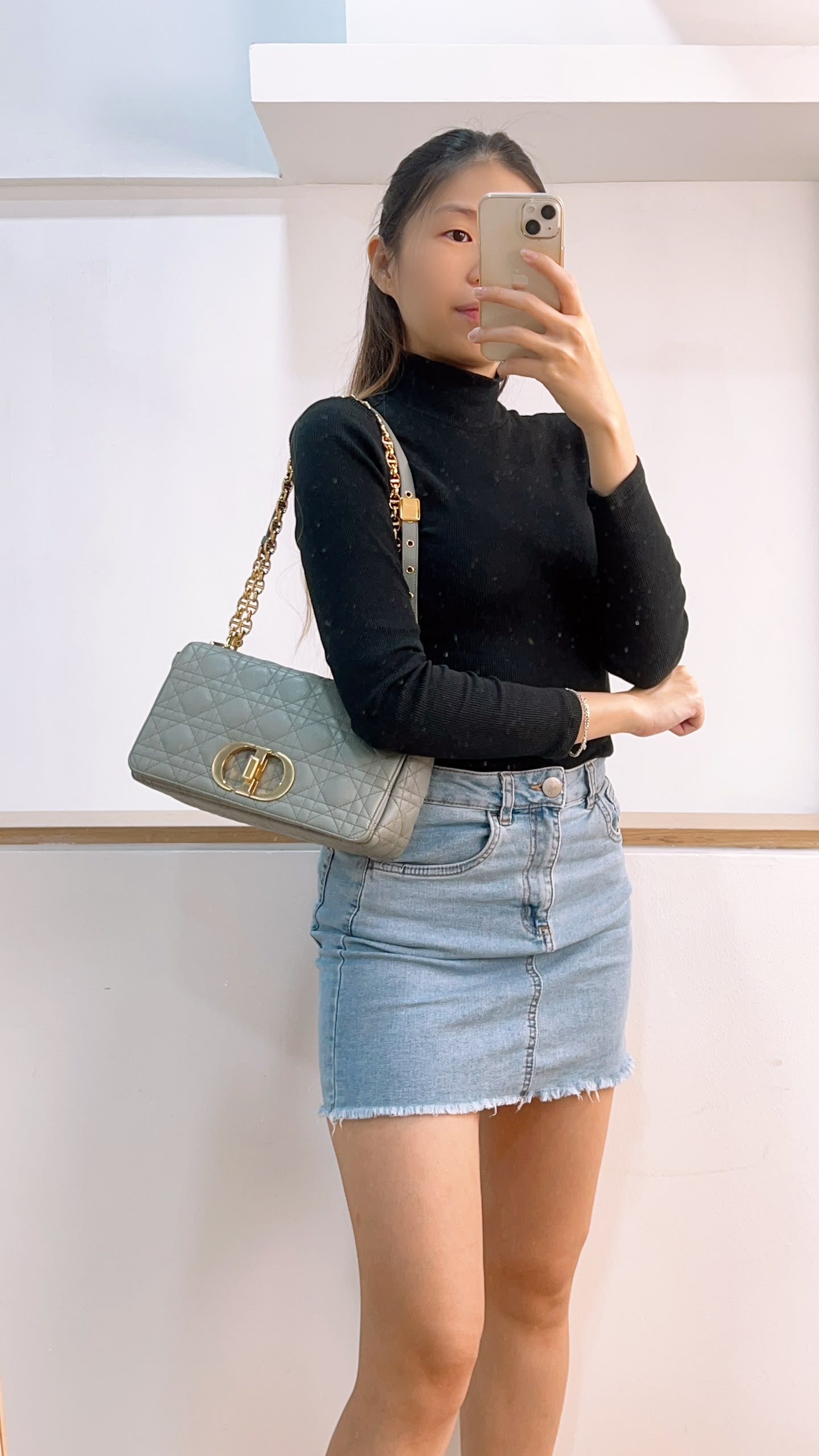 Dior Grey Calfskin Medium Caro (GHW)