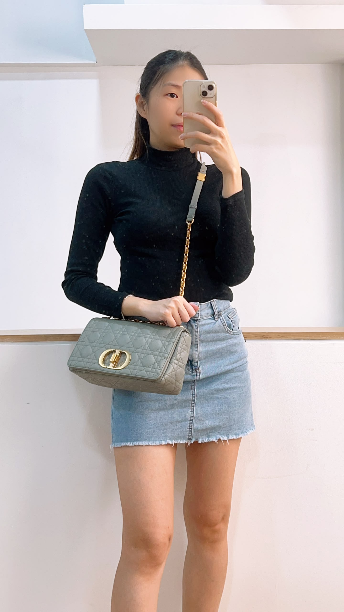 Dior Grey Calfskin Medium Caro (GHW)