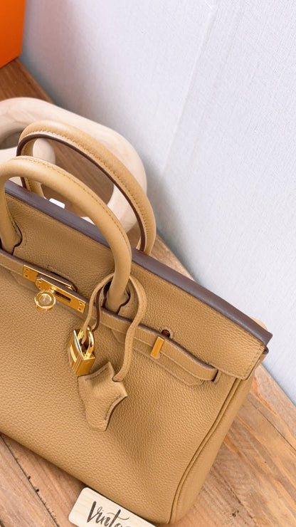 Hermes Biscuit Togo Birkin 25 (GHW)