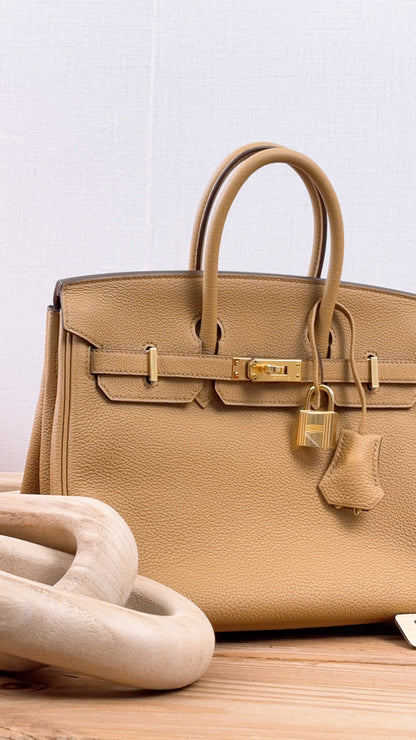 Hermes Biscuit Togo Birkin 25 (GHW)