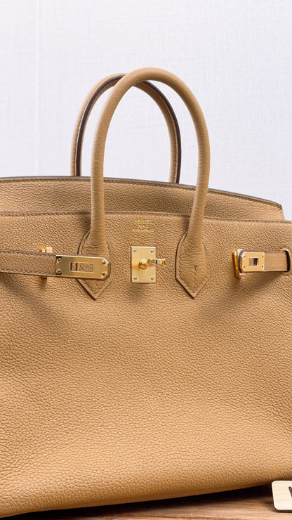 Hermes Biscuit Togo Birkin 25 (GHW)