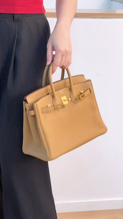 Hermes Biscuit Togo Birkin 25 (GHW)