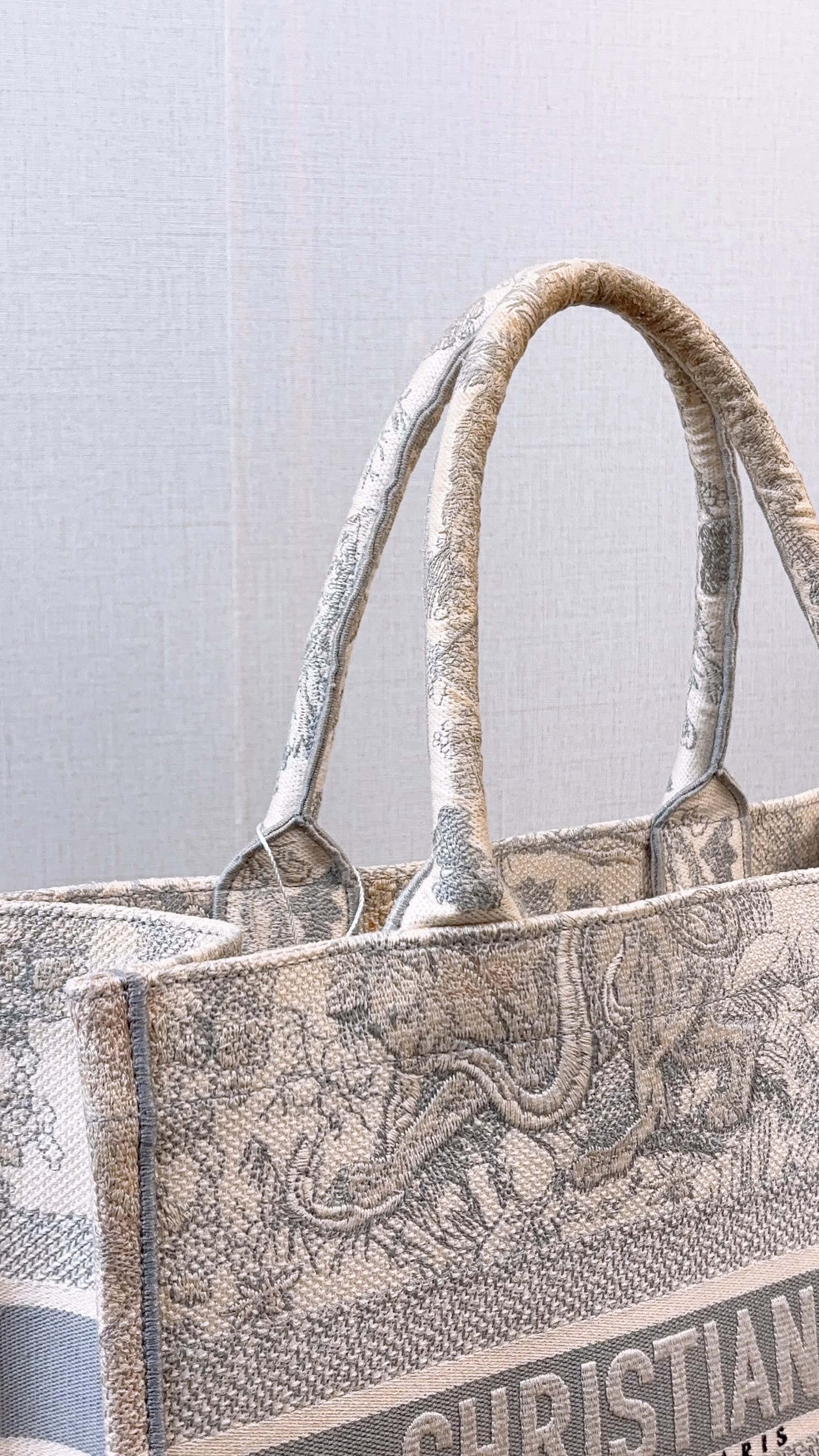 Dior Grey Toile De Jouy Medium Book Tote