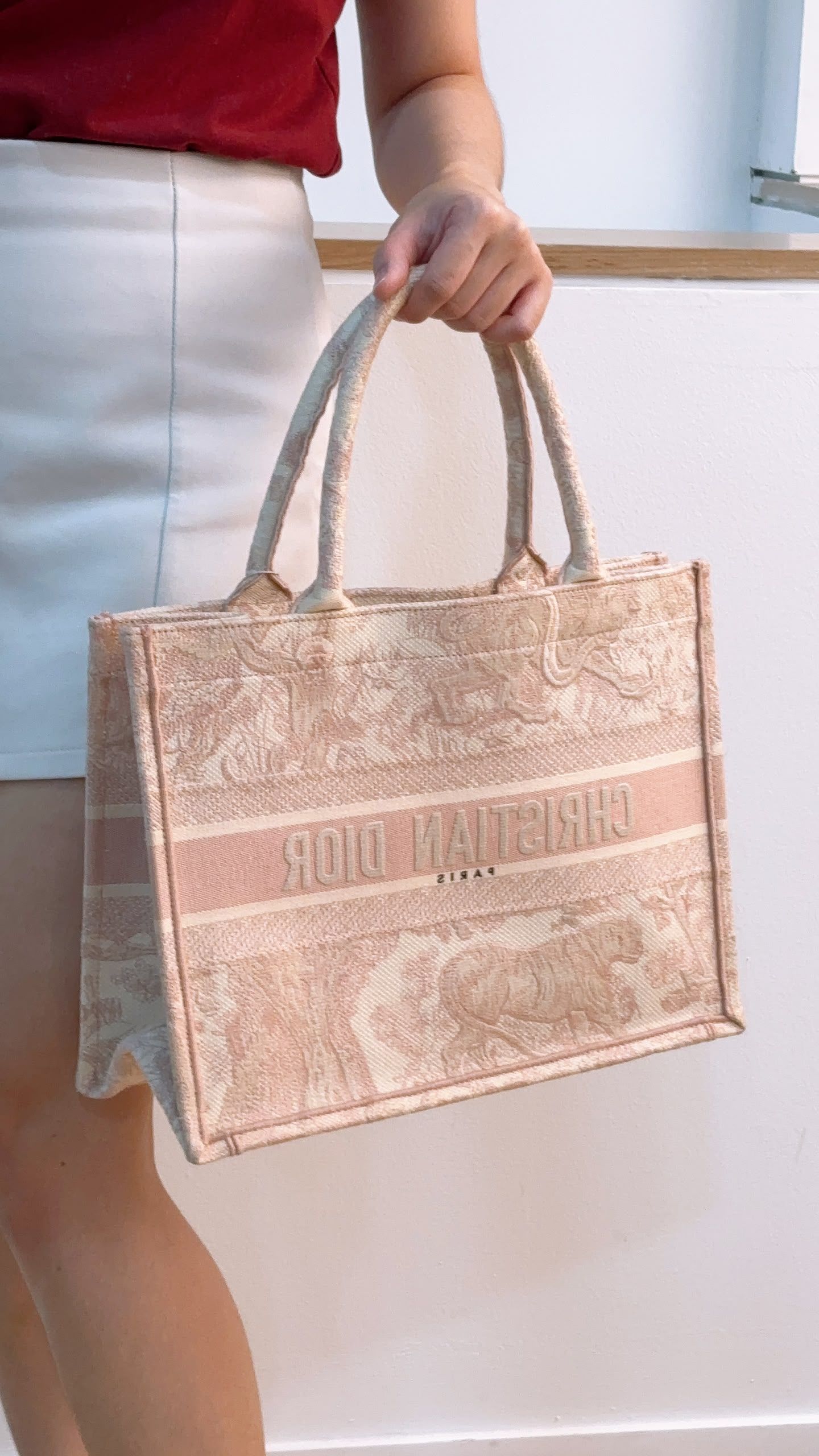 Dior Pink Toile De Jouy Embroidered Medium Book Tote