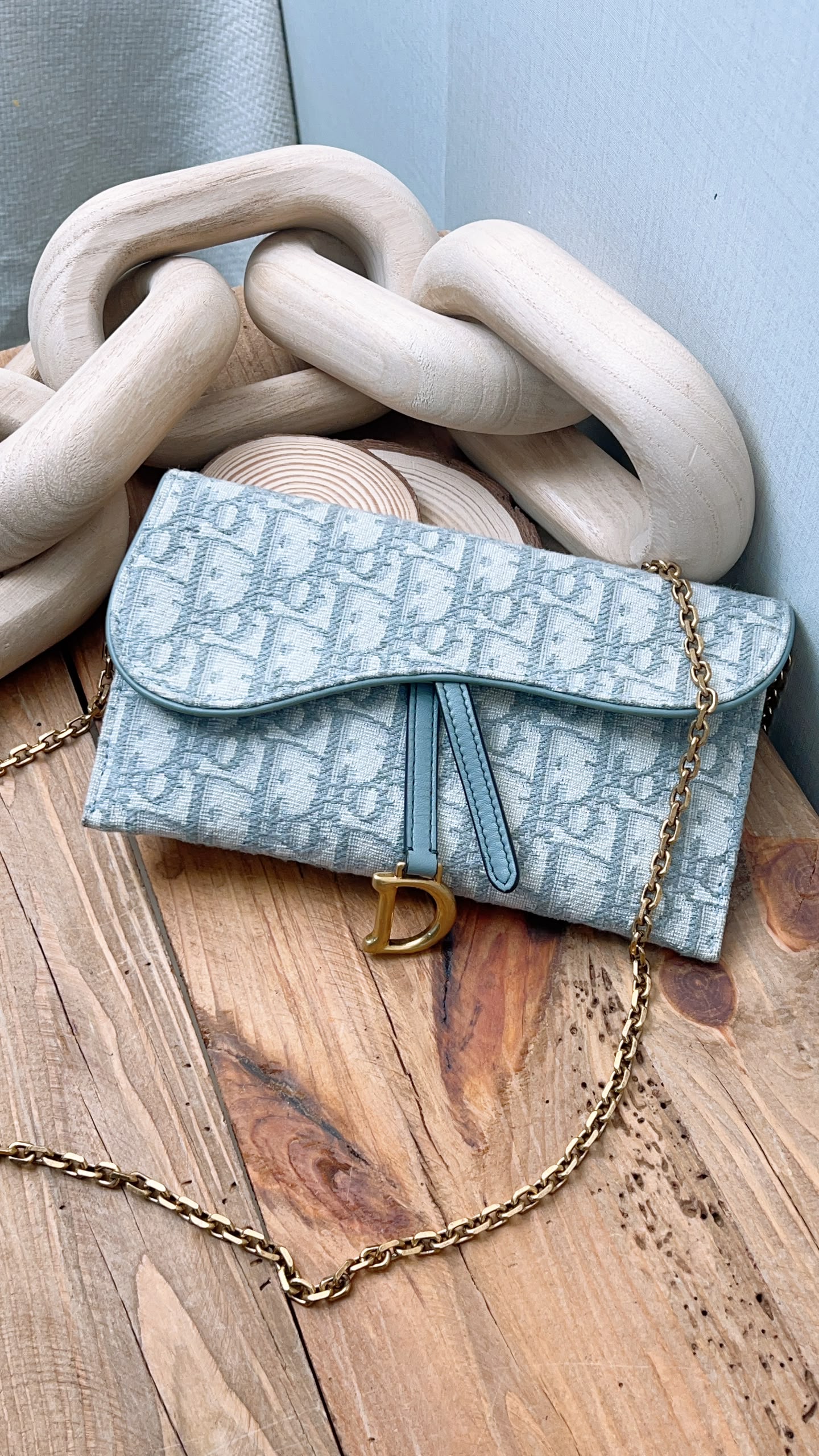 Dior Grey Oblique Canvas Saddle WOC (GHW)