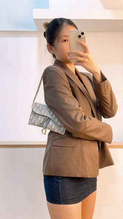 Dior Grey Oblique Canvas Saddle WOC (GHW)