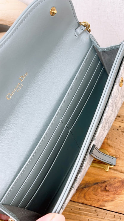 Dior Grey Oblique Canvas Saddle WOC (GHW)