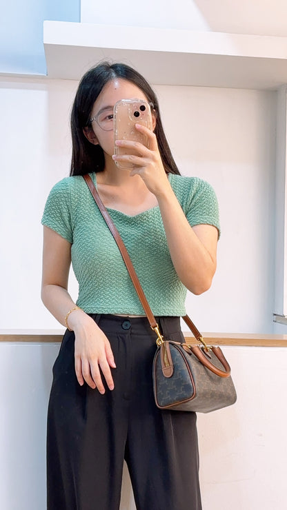 Celine Triomphe Canvas Small Boston Bag