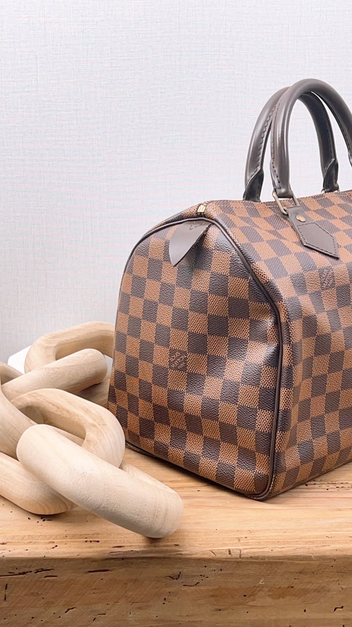 LV Damier Ebene Speedy 30